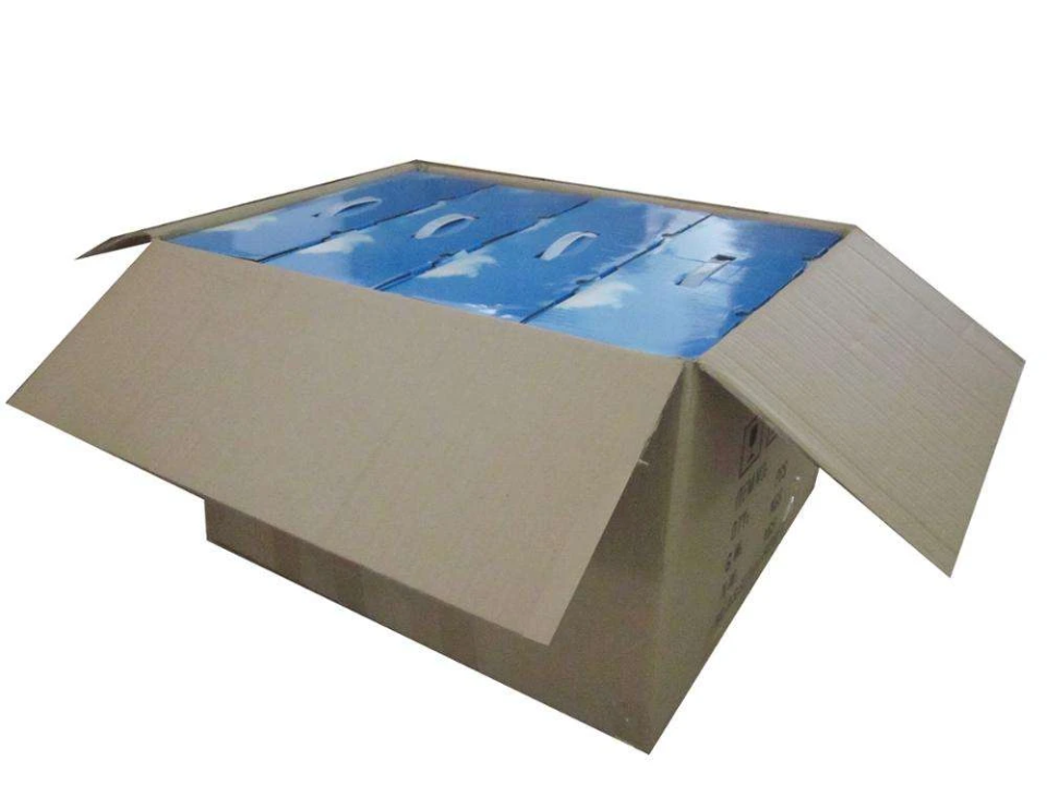 Detox Foot Spa product image